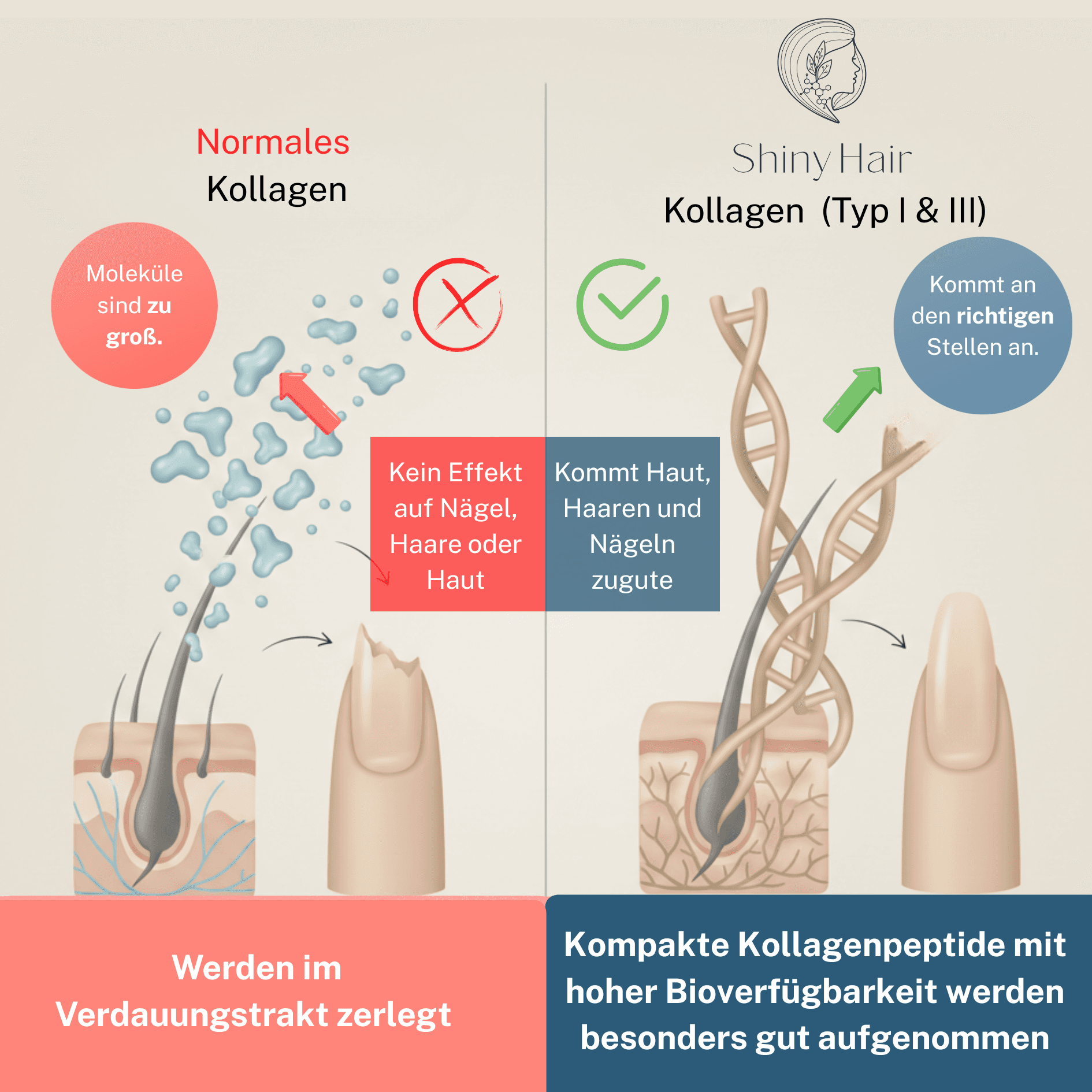 ShinyHair Premium Kollagenpulver