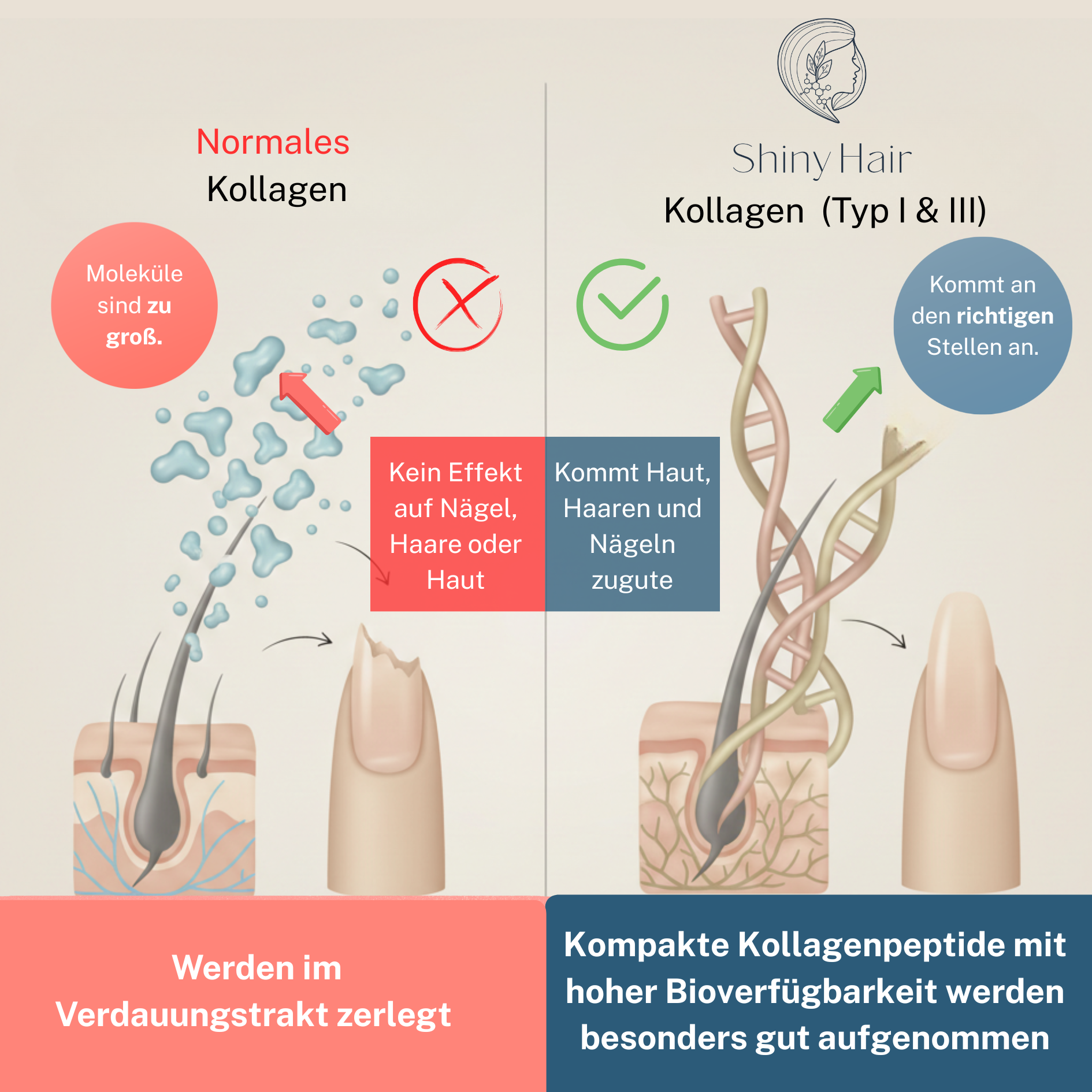 ShinyHair Premium Kollagenpulver